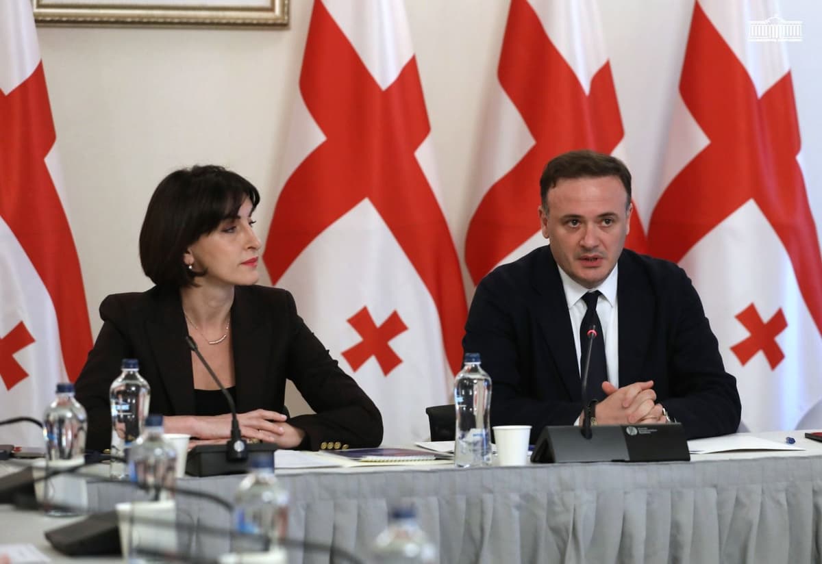 Georgian FM unveils new diaspora policy concept focused on language, identity and closer coordination