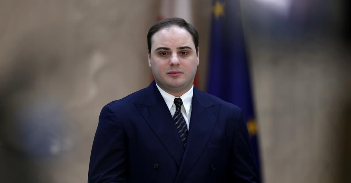 Meters to be installed in Mestia to pinpoint illegal crypto mining, Gov’t Administration Head 