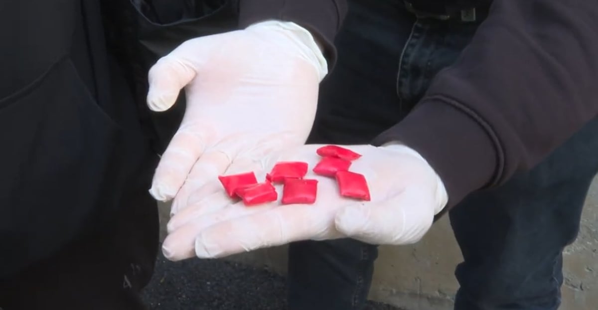 The confiscated substances include methadone, alpha-PVP, thebaine, codeine, morphine and dried marijuana