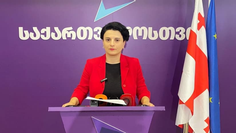 ნათია მეზვრიშვილი – ჩვენ უნდა გამოვიყენოთ 26 ოქტომბრის შესაძლებლობა იმისათვის, რომ ხელისუფლება შევცვალოთ