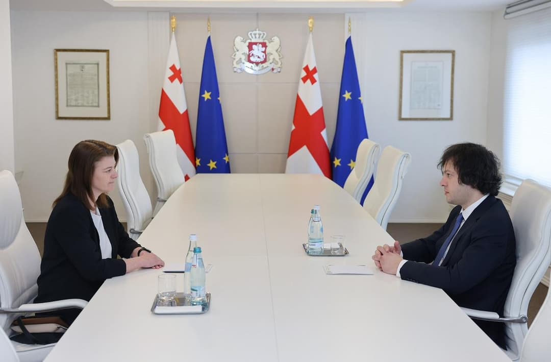 ირაკლი კობახიძე დანიის სამეფოს ელჩს შეხვდა