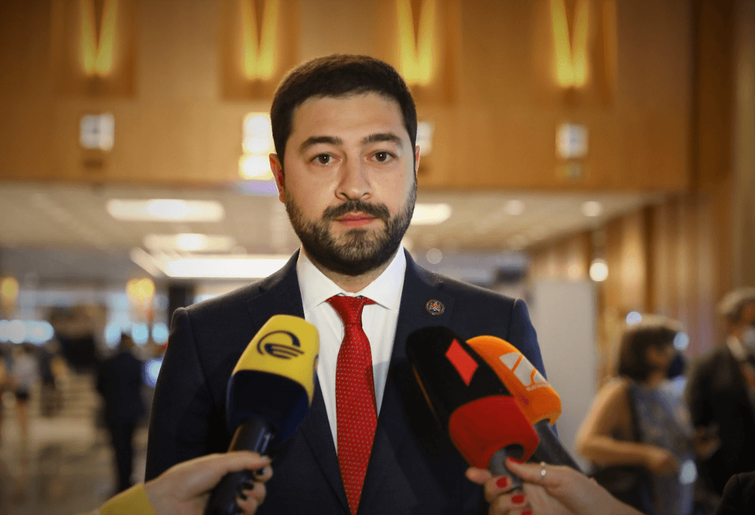 ლევან ქარუმიძე – ჩემთვის მნიშვნელოვანია, ეს კანონპროექტი ისეთ კანონად იქცეს, რომელიც მისაღები იქნება როგორც ჩვენი მოსახლეობისთვის, ისე ევროკავშირისთვის