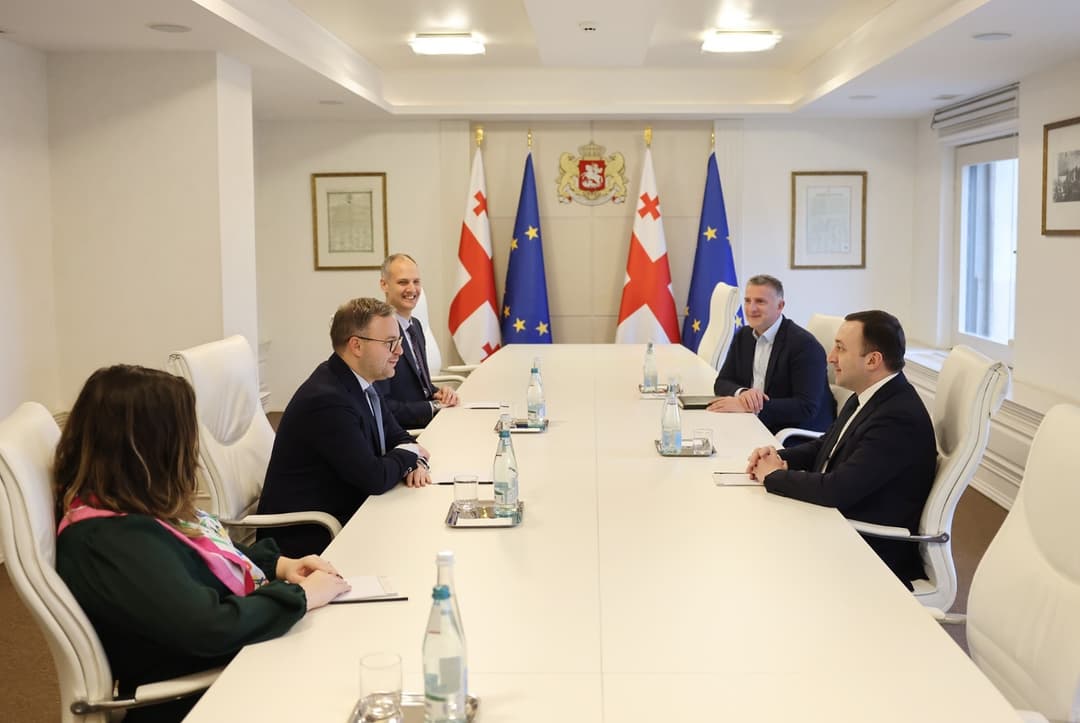 ირაკლი ღარიბაშვილი უნგრეთის პრემიერ-მინისტრის პოლიტიკური დეპარტამენტის დირექტორს შეხვდა