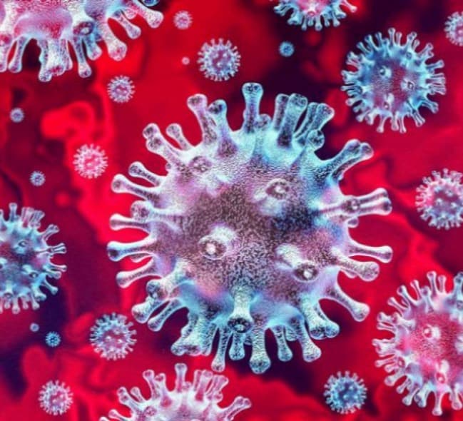 Frontnews image description