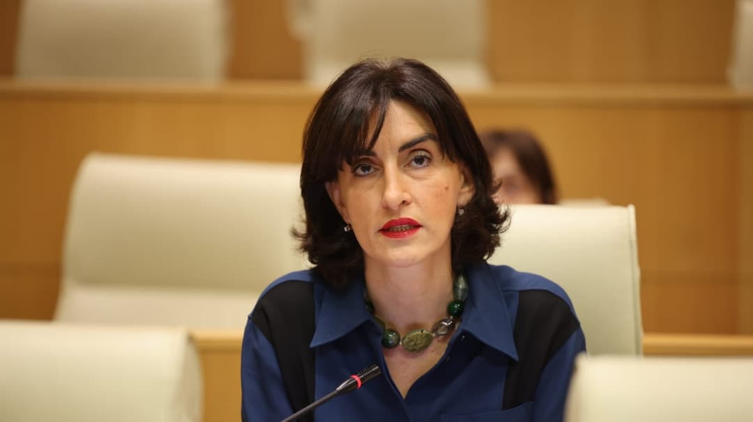 მაკა ბოჭორიშვილი – როგორ უნდა ვებრძოლოთ დეზინფორმაციას, თუ გამჭვირვალედ არ გვექნება გარკვეული წვდომა ინფორმაციაზე?