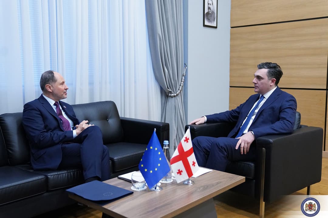 საგარეო საქმეთა სამინისტრო – ევროკავშირის და გერმანიის ელჩებს ქართული მხარის შეშფოთება ოფიციალურად გადაეცათ