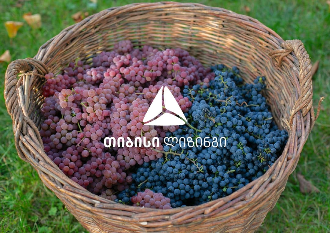 ინოვაცია ქართულ მეღვინეობაში – თიბისი ლიზინგის ხელშეწყობით მოძრავი ქარხანა დაფინანსდა