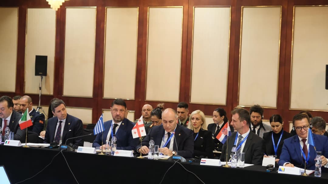 საქართველოს თავდაცვის მინისტრი SEDM შეხვედრას დაესწრო