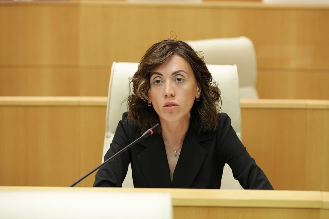 ანა წითლიძე – პოლარიზაცია ვერ შემცირდება, როდესაც ქვეყანაში არსებობენ პოლიტიკური პატიმრები