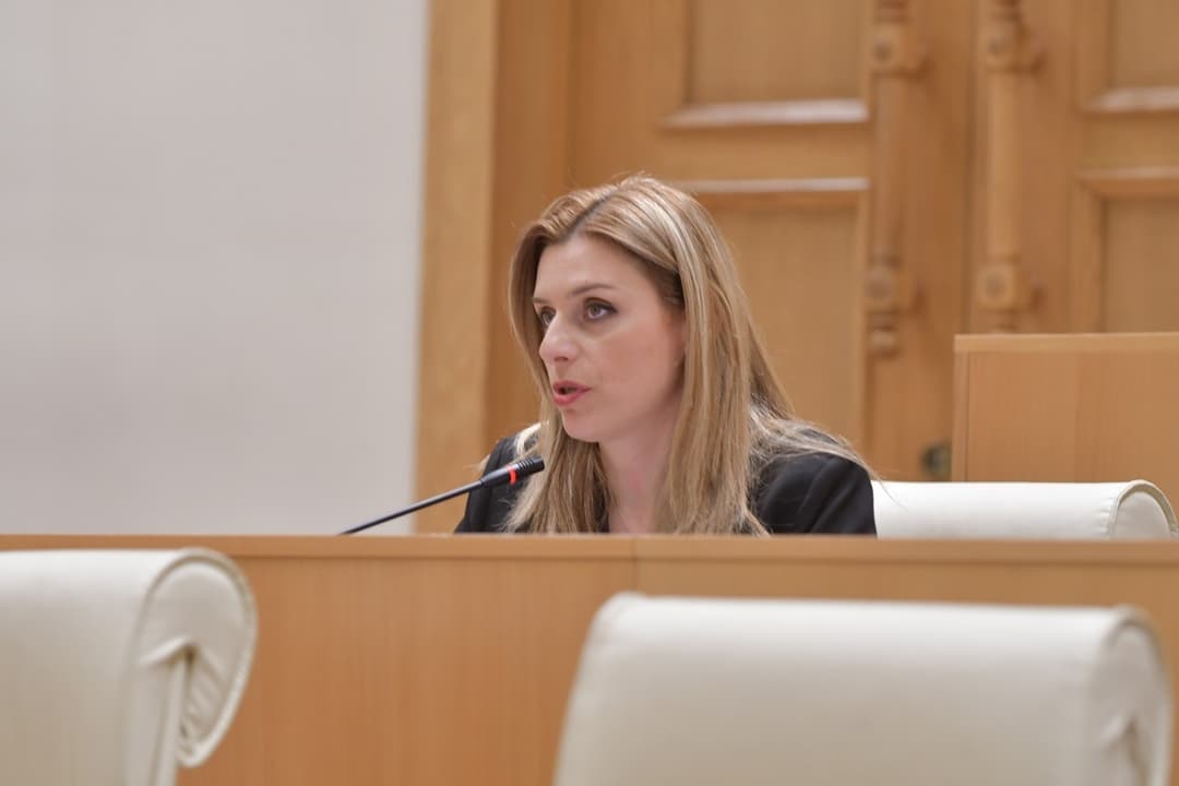 თეონა აქუბარდია – დეზინფორმაცია, რომ თითქოს ახლა უფრო ახლოს არიან ევროპასთან, ვიდრე ოდესმე, ამაზე ღია პასუხი იყო ბორელის მხრიდან