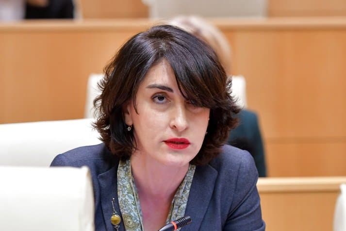 მაკა ბოჭორიშვილი ოპოზიციას – თქვენ ასეთი ქცევით ვნებთ არა „ქართულ ოცნებას“, არამედ თქვენს საკუთარ ქვეყანას