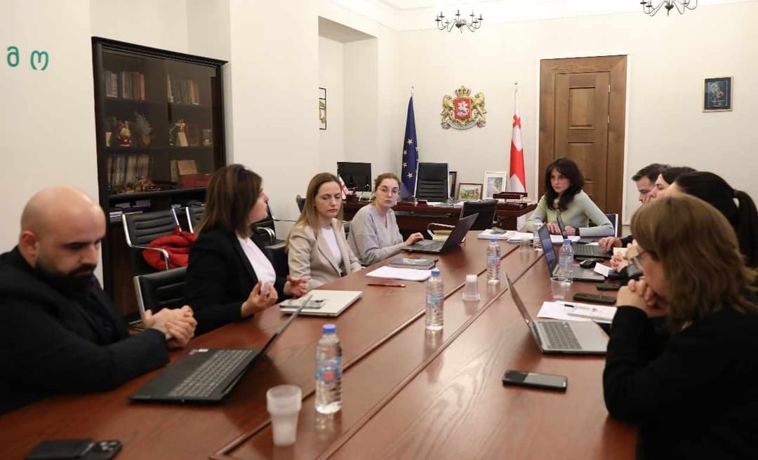 მაია ბითაძე “შინაურ ბინადარ ცხოველთა შესახებ“ კანონპროექტთან დაკავშირებით სახელმწიფო უწყებების წარმომადგენლებს შეხვდა