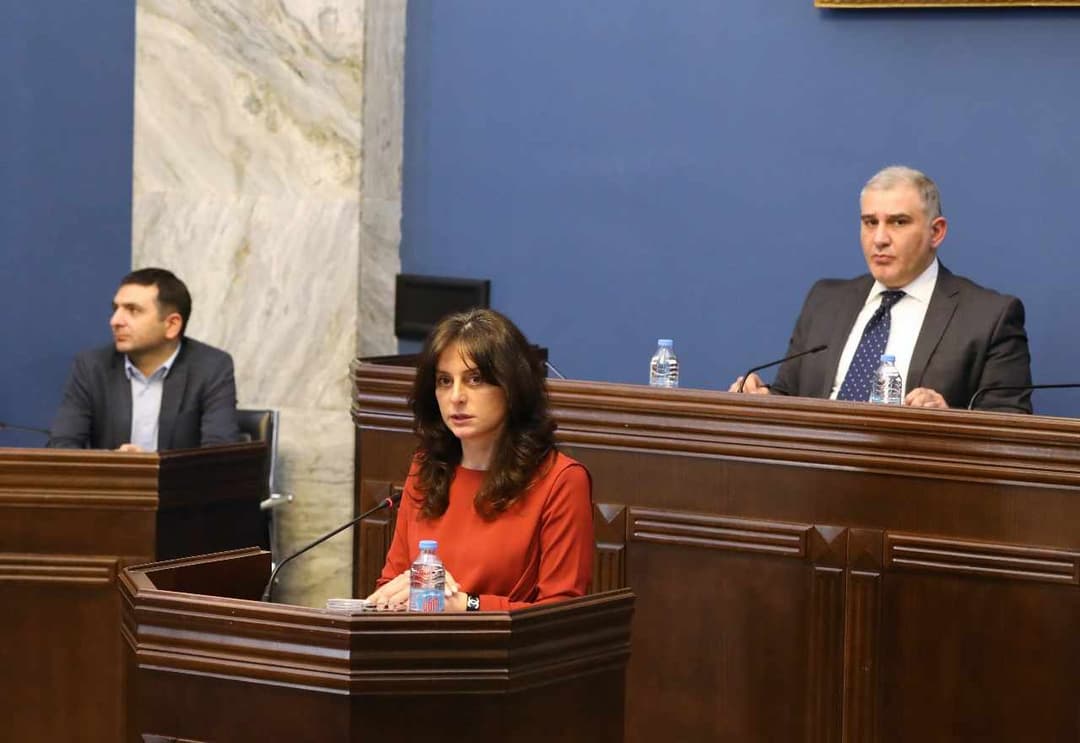 კომიტეტების გაერთიანებულ სხდომაზე “შინაურ ბინადარ ცხოველთა შესახებ“ კანონპროექტი განიხილეს