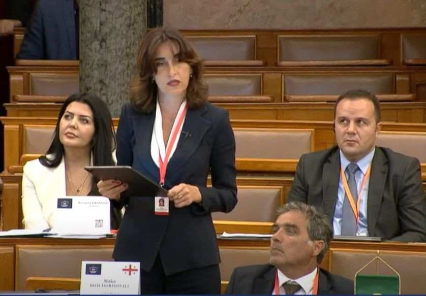 მაკა ბოჭორიშვილი – დაუყოვნებლივ უნდა გადავდგათ პირველი ნაბიჯები, დავიწყოთ დიალოგი ევროკავშირის გაფართოების წარმატებისთვის