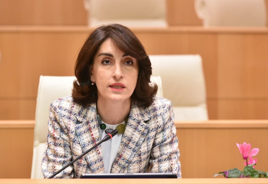 მაკა ბოჭორიშვილი – თქვენ ცდილობთ თქვენი ლიდერის ციხესთან შეუთავსებლობის ჰუმანიტარულ კატასტროფად წარმოჩენას