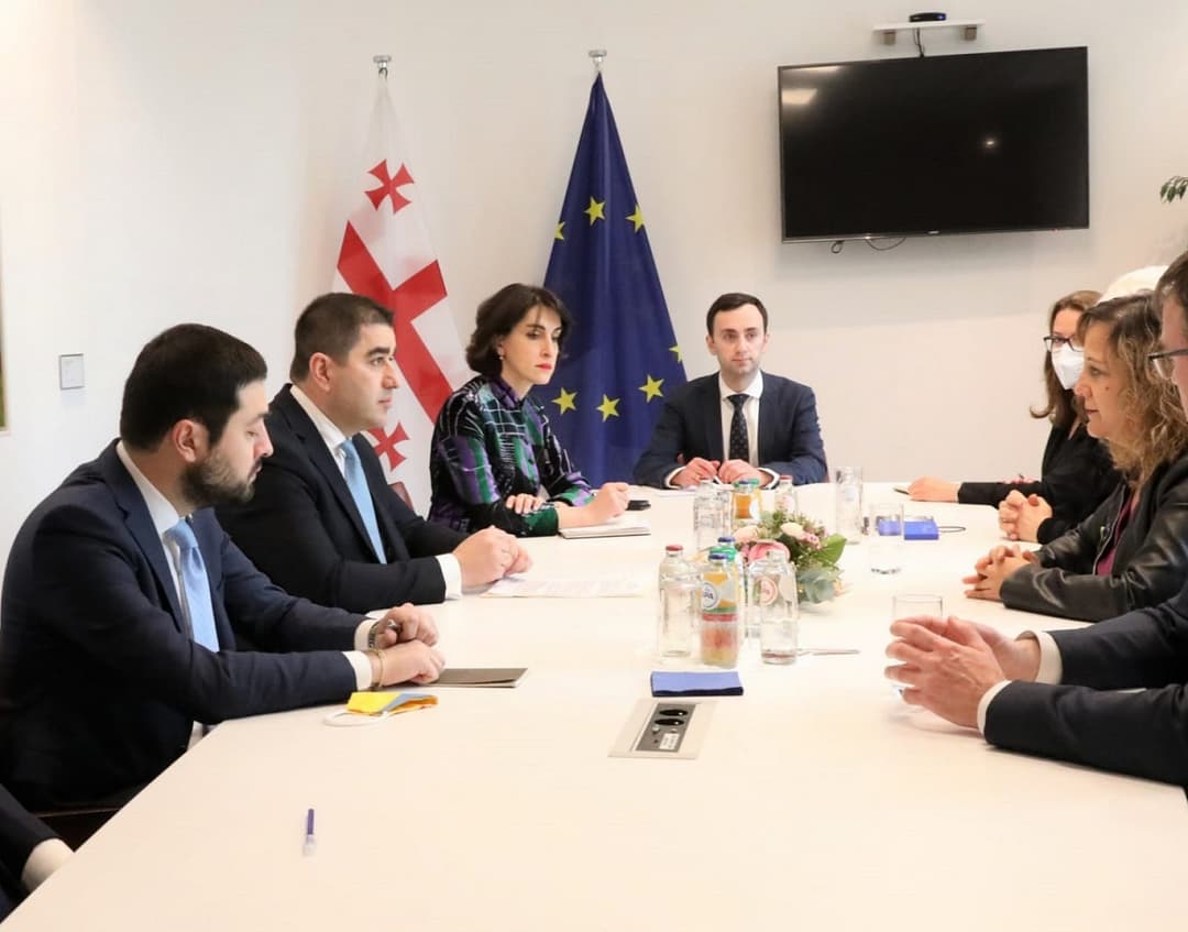 შალვა პაპუაშვილი სოციალისტებისა და დემოკრატების პროგრესული ალიანსის ჯგუფის პრეზიდენტს შეხვდა