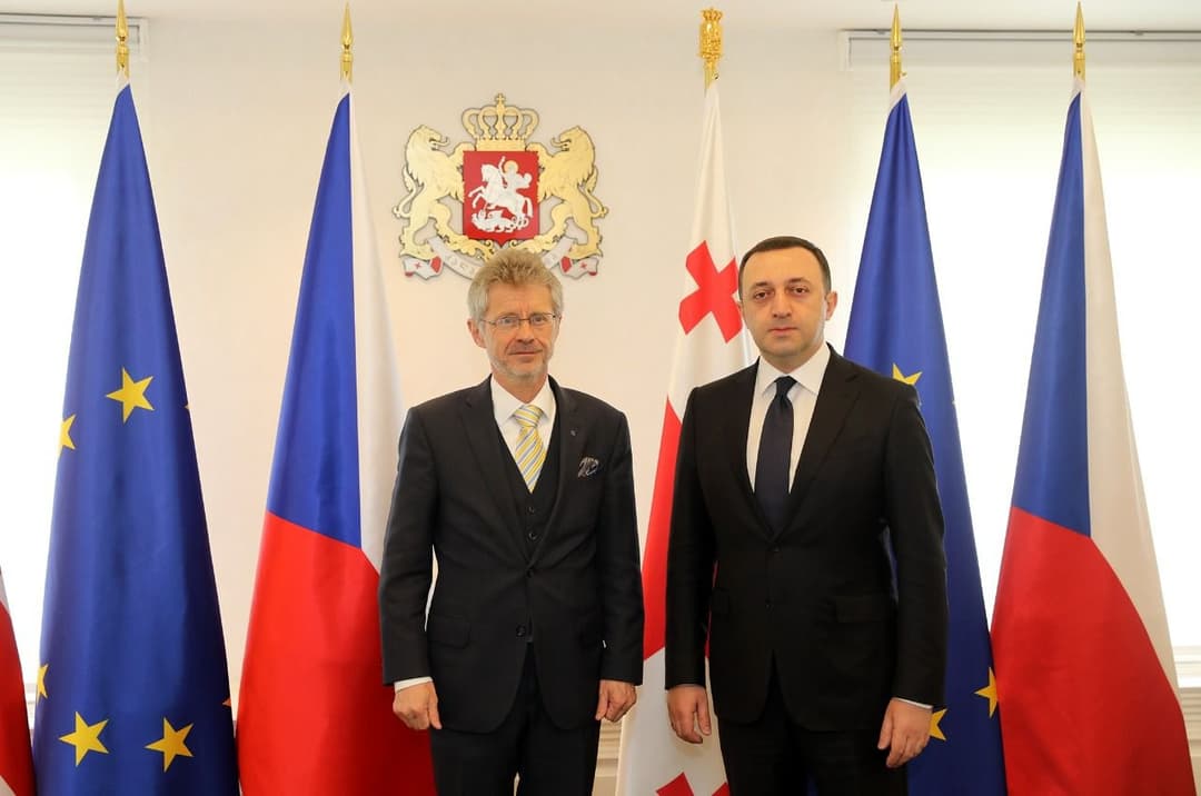 ირაკლი ღარიბაშვილი ჩეხეთის პარლამენტის სენატის პრეზიდენტს მილოშ ვისტრჩილს შეხვდა