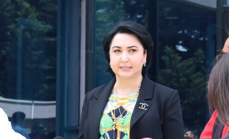 ეკა ბესელია – ამ იდეას არც სამართლებრივი რისკები ახლავს და არც პოლიტიკური