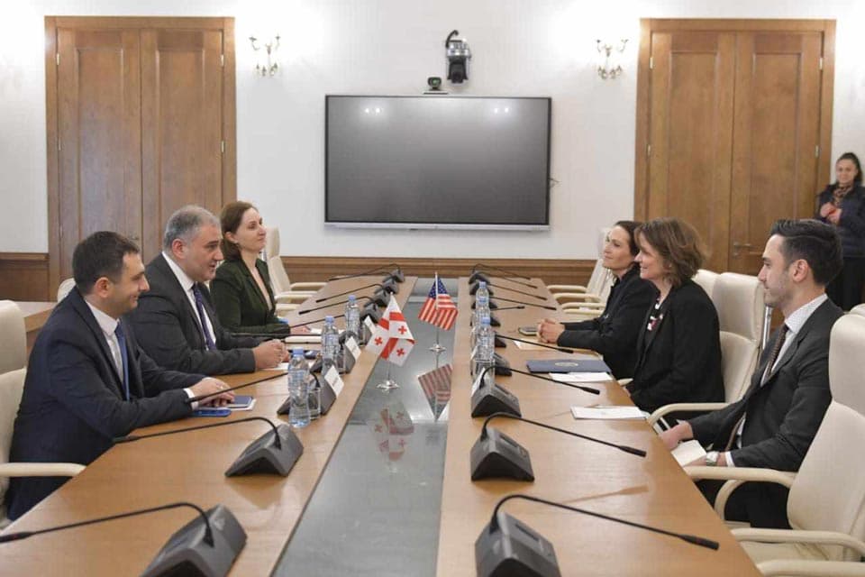 მიხეილ სარჯველაძე რობინ დანიგანს შეხვდა