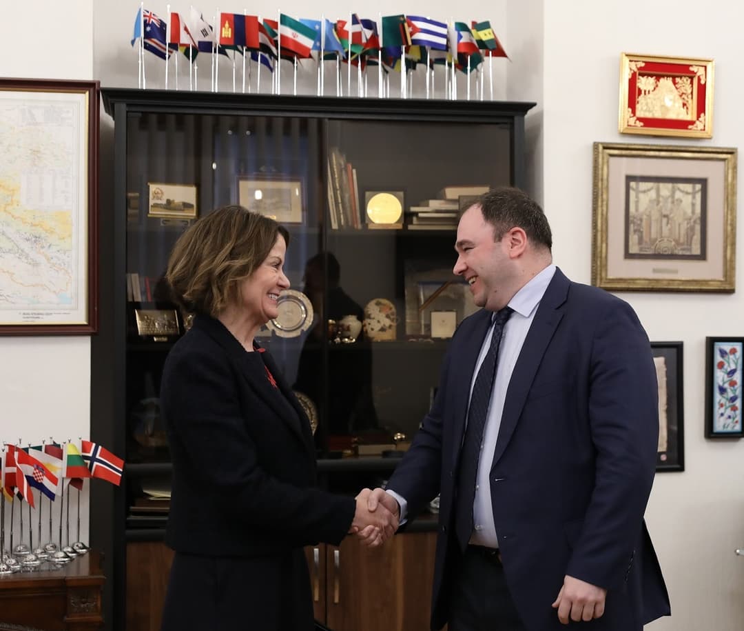 ნიკოლოზ სამხარაძე რობინ დანიგანს შეხვდა