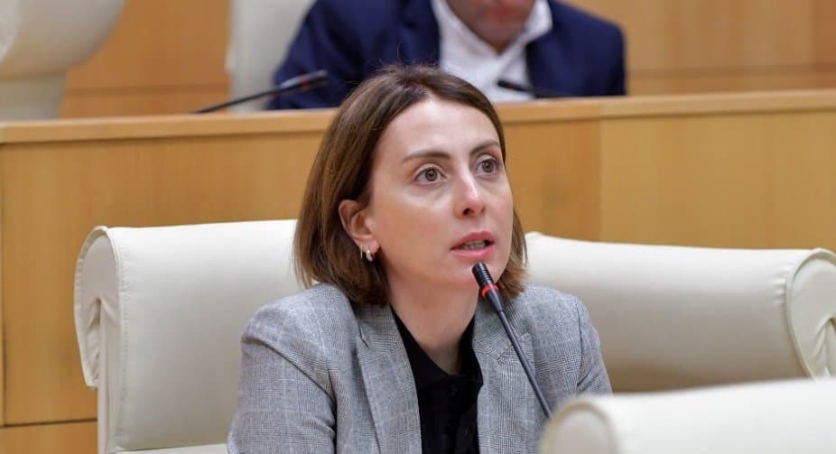 ხატია დეკანოიძე მისი უკანონო თვალთვალის საქმეზე გამოძიების დაწყებას მოითხოვს