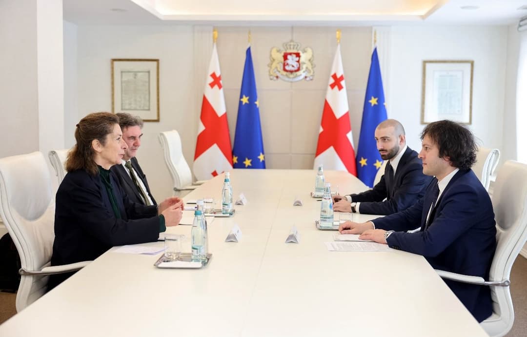 ირაკლი კობახიძემ შვეიცარიის კონფედერაციის საგანგებო და სრულუფლებიან ელჩთან შეხვედრა გამართა