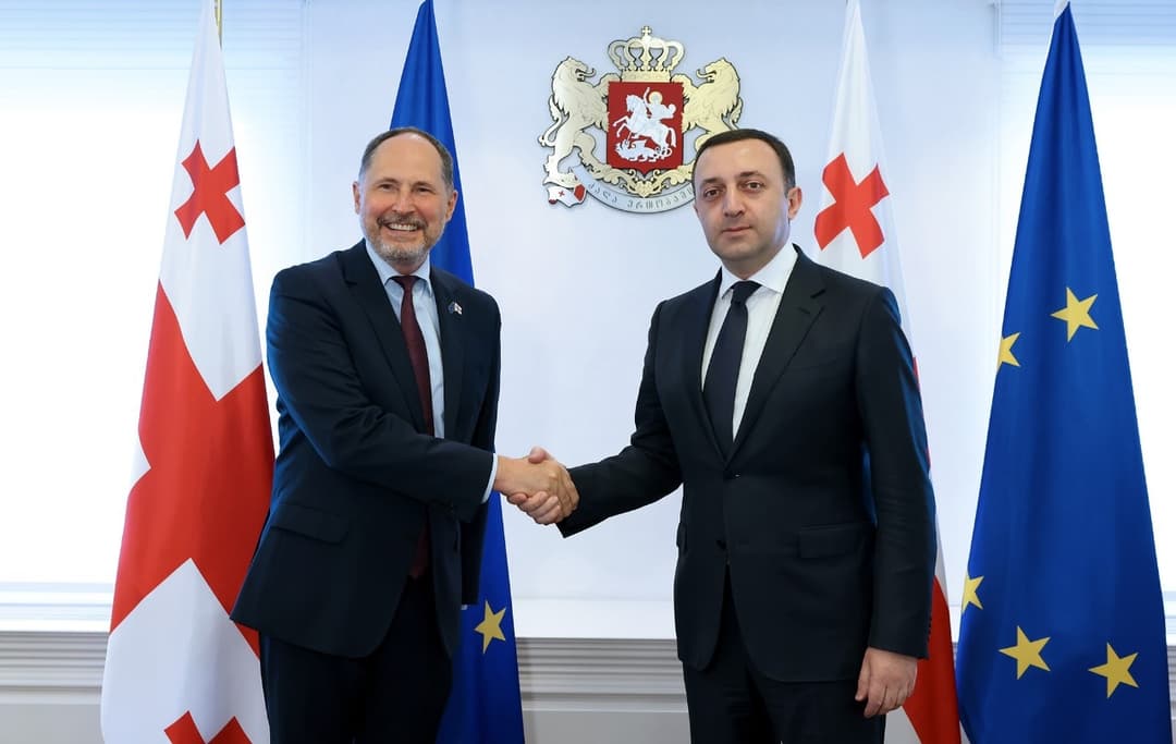 ირაკლი ღარიბაშვილი ევროკავშირის ახალ ელჩს შეხვდა