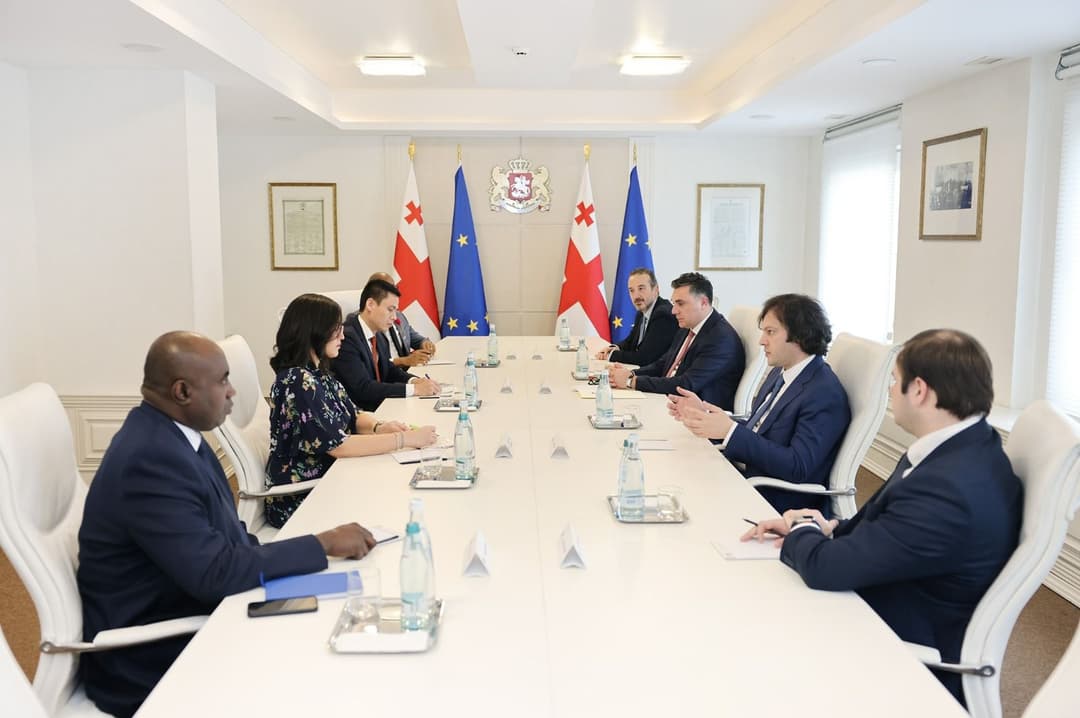 ირაკლი კობახიძე გაეროში სხვადასხვა ქვეყნის მუდმივ წარმომადგენლებს შეხვდა