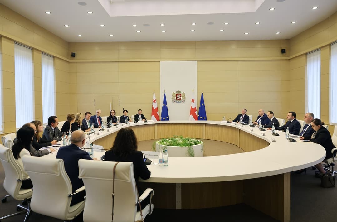 ირაკლი ღარიბაშვილი EBRD-ის დირექტორთა საბჭოს წევრებს შეხვდა