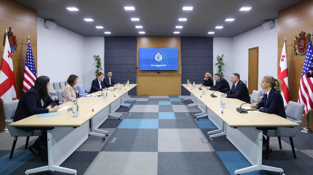 ვახტანგ გომელაური რობინ დანიგანს შეხვდა