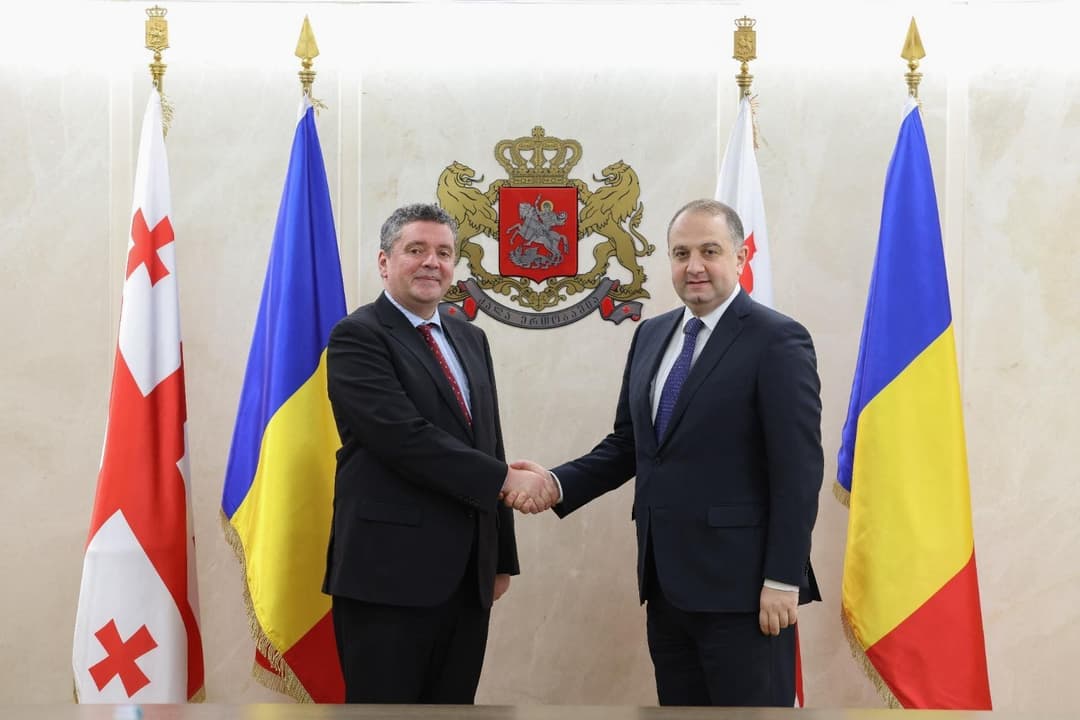 ირაკლი ჩიქოვანი რუმინელ დიპლომატებს შეხვდა