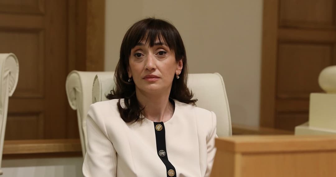 პარლამენტმა სალომე ჯინჯოლავას პარლამენტის წევრის უფლებამოსილება ცნო