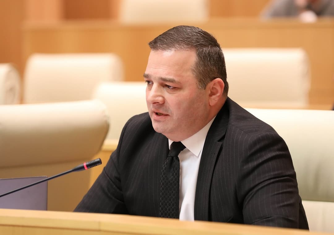 შალვა კერესელიძე – სრული პასუხისმგებლობით შეასრულეთ ვალდებულებები, რაც გვაკისრია, რათა ქვეყანამ უახლოეს პერიოდში მიიღოს კანდიდატის სტატუსი