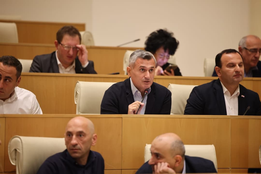 დავით კირკიტაძე – მნიშვნელოვანია, დაიწიოს საპენსიო ასაკმა და მამაკაცებში ეს 60 წელი იყოს