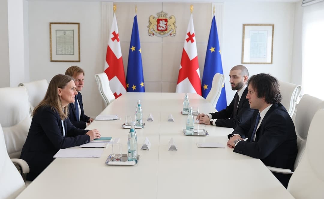 ირაკლი კობახიძე საქართველოში შვედეთის სამეფოს საგანგებო და სრულუფლებიან ელჩს შეხვდა