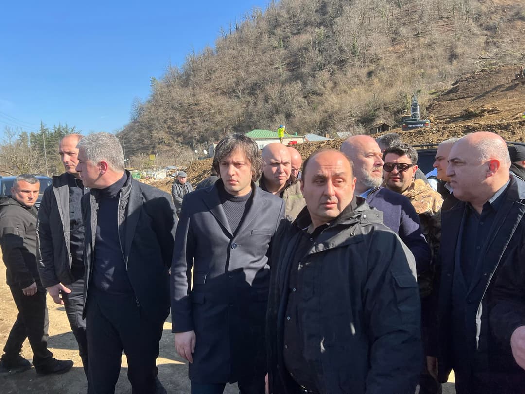 ირაკლი კობახიძე ბაღდათის მუნიციპალიტეტში, სოფელ ნერგეეთში ჩავიდა