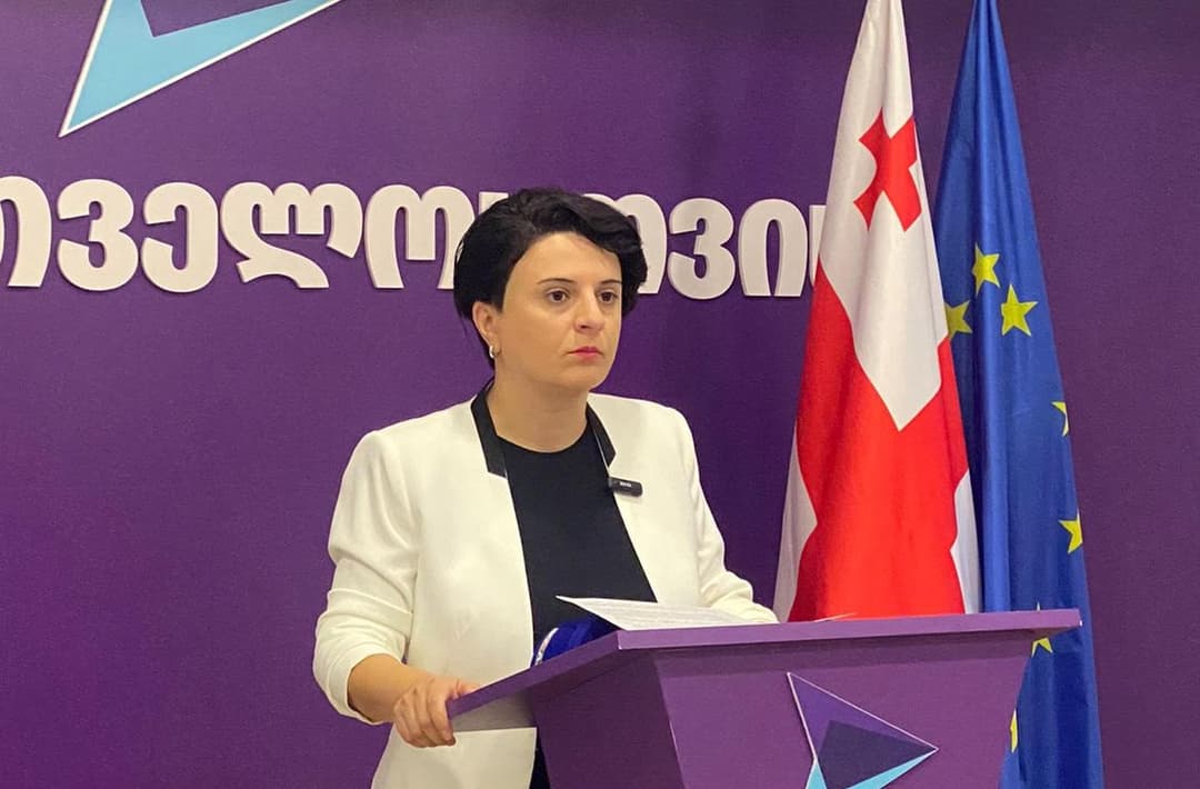 ნათია მეზვრიშვილი – მოვუწოდებთ “ოცნებას“, დაანონსებული ამნისტია შეახოს რუსული კანონით დაზარალებულ პირებს