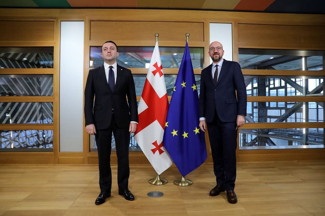 ირაკლი ღარიბაშვილი შარლ მიშელს შეხვდა