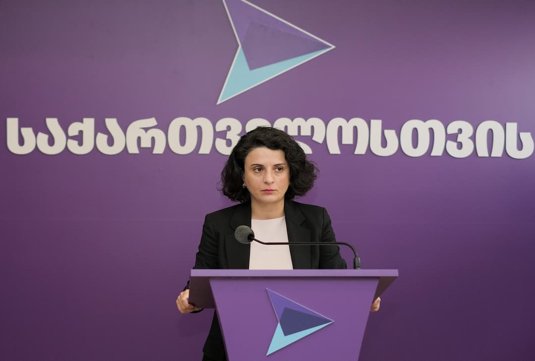 ნათია მეზვრიშვილი – ჩვენ ვხედავდით, რომ მის გუნდში ერთიანობა არ იყო იმ კოალიციის სუბიექტებს შორის, რა სუბიექტებიც შედიან ამ კოალიციაში