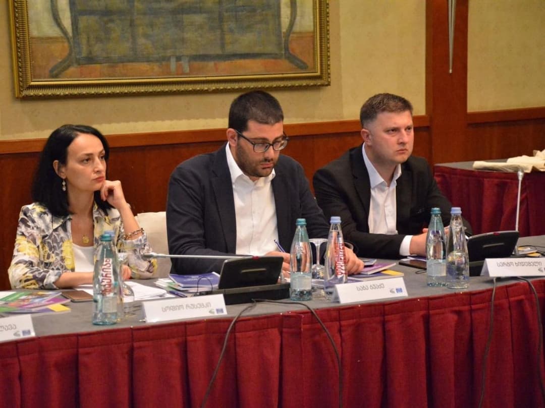 თვითმმართველი ერთეულებისა და სახალხო დამცველის ოფისის წარმომადგენლებს შორის შეხვედრა გაიმართა