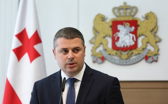 Deputy Economy Minister Danelia appointed business ombudsman