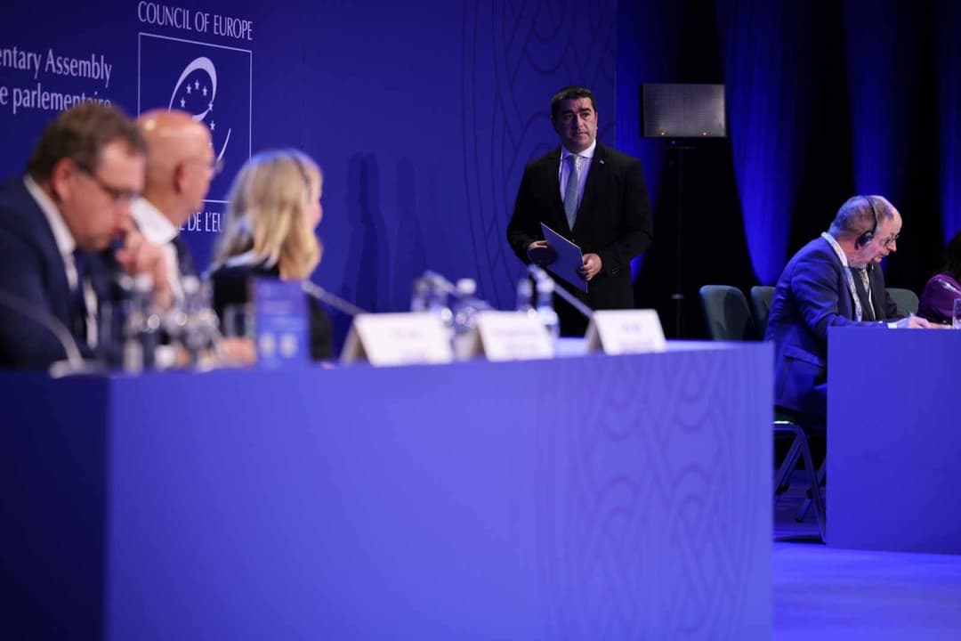 შალვა პაპუაშვილი – ხელისუფლებას მუდმივად უწევს წინასწარ დაგეგმილ და კარგად კოორდინირებულ დეზინფორმაციის კამპანიასთან გამკლავება