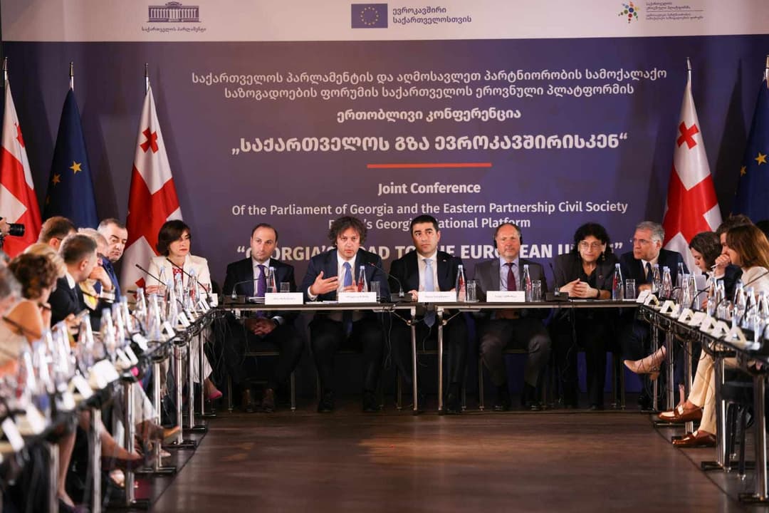 შალვა პაპუაშვილი – დიდი ხანია, სამოქალაქო საზოგადოებასთან ერთად მსგავსი ღონისძიება არ გვქონია