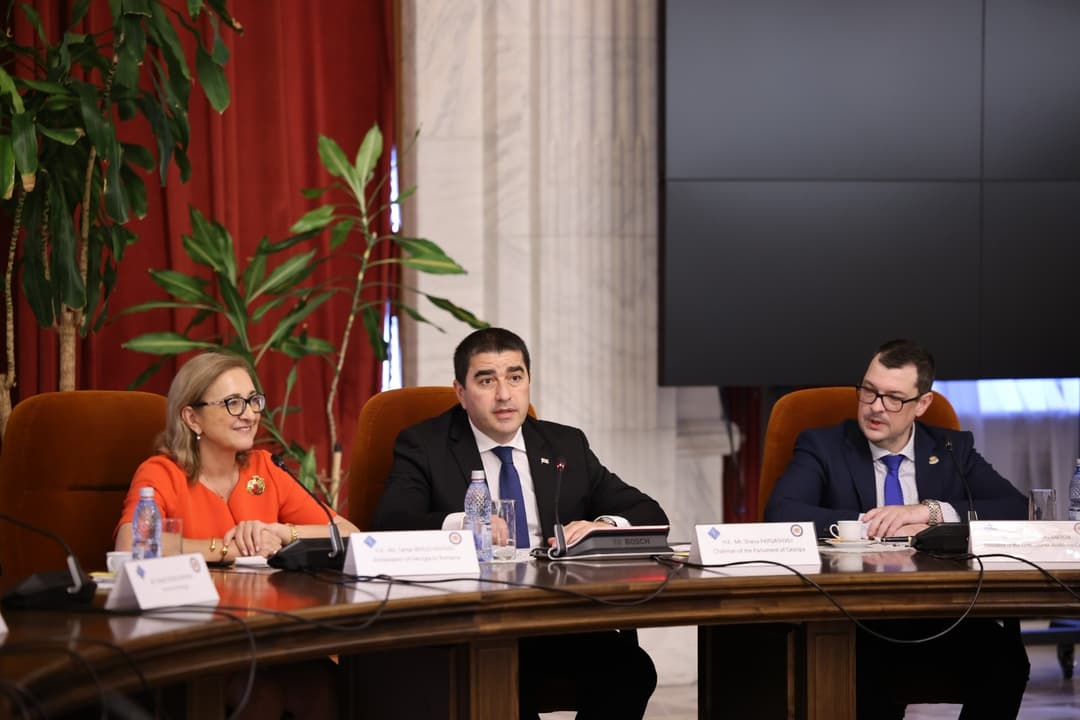 შალვა პაპუაშვილი – როდესაც საუბარი უკრაინის პირდაპირ სამხედრო დახმარებას ეხება, ჩვენ უფრო ფრთხილები ვართ