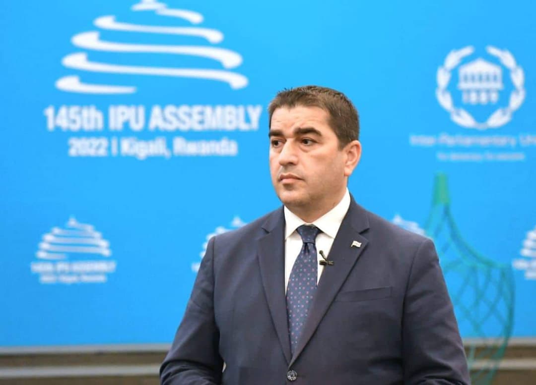 შალვა პაპუაშვილი – მნიშვნელოვანია, რომ ოკუპაციას, რომელიც საქართველოში მიმდინარეობს, ყველა შეეწინააღმდეგოს საერთაშორისო ინსტრუმენტებით, ჩვენ ეს დაპირება კოლეგებისგან მივიღეთ