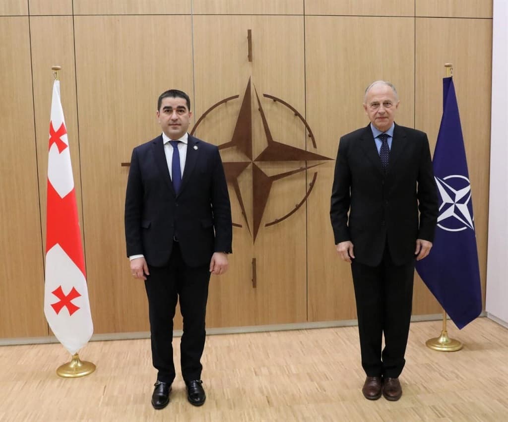 შალვა პაპუაშვილი ნატოს გენერალური მდივნის მოადგილეს შეხვდა
