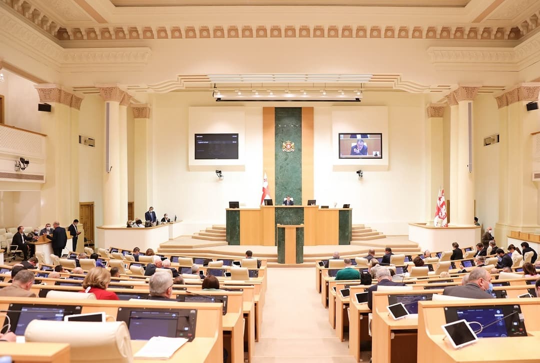 პარლამენტმა სტატისტიკის ეროვნული სამსახურის საბჭოს წევრად გოგიტა თოდრაძე აირჩია