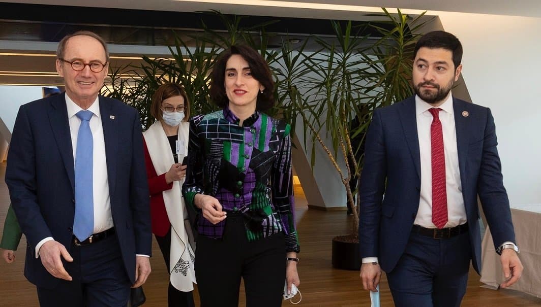 მაკა ბოჭორიშვილმა და ლევან ქარუმიძემ ევროპარლამენტში შეხვედრები გამართეს