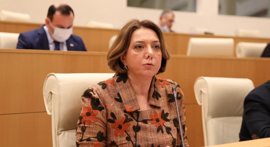 სალომე სამადაშვილი – საზოგადოება ალბათ, შოკირებულია თქვენი დღევანდელი გამოსვლით ბატონო მინისტრო