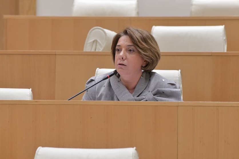 სალომე სამადაშვილი – ბატონო მინისტრო, თქვენ სტრასბურგში წარდგენა მოგიწევთ, თქვენს წინააღმდეგ შესაბამის სარჩელს უკრაინაც შეიტანს